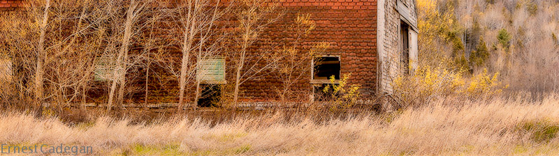 barn-and-grasses