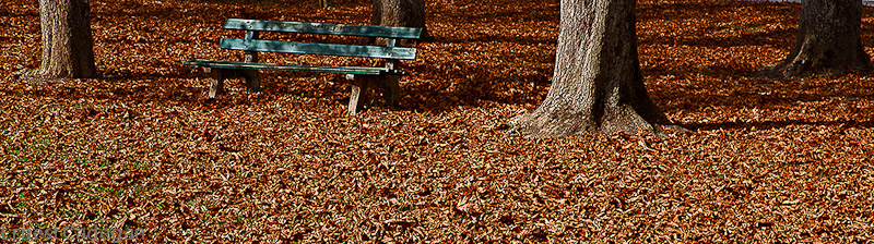 bench-in-Montrachet