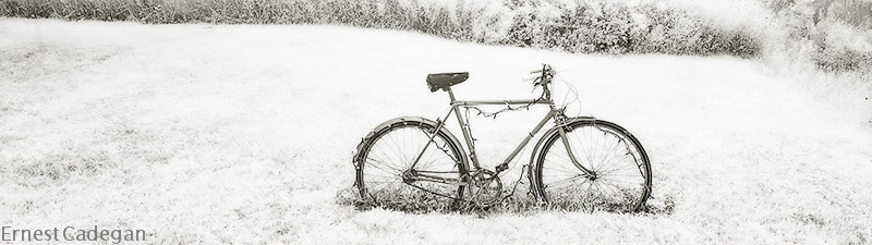 decorated-bike