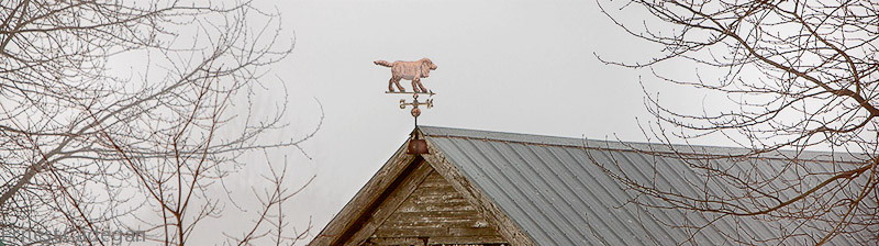 kims-weather-vane-4