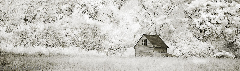 shed-with-six-panes