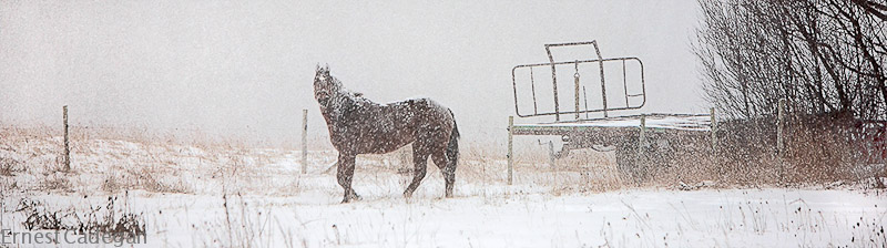 watching-in-the-storm