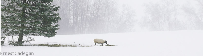 winter-snack